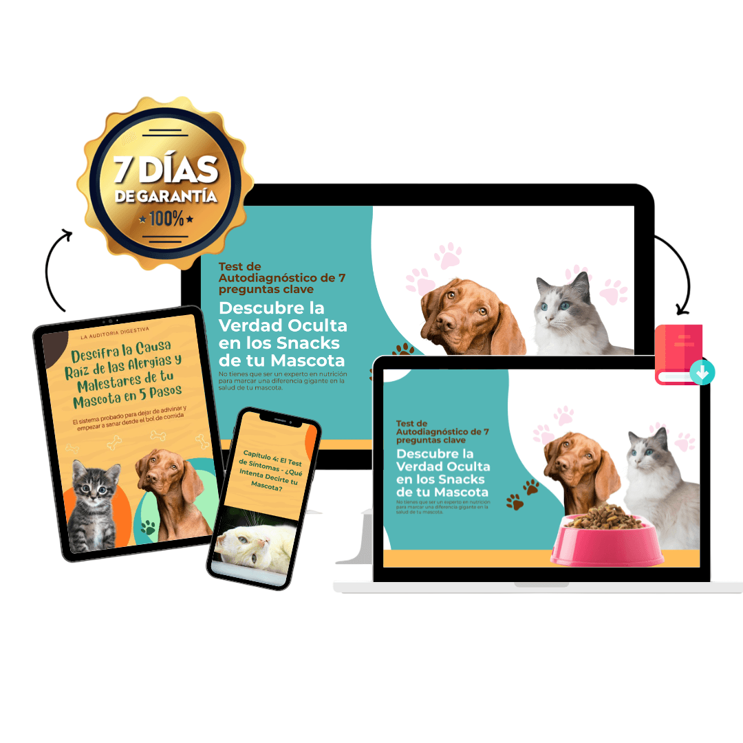 la Verdad Oculta en los Snacks de tu Mascota