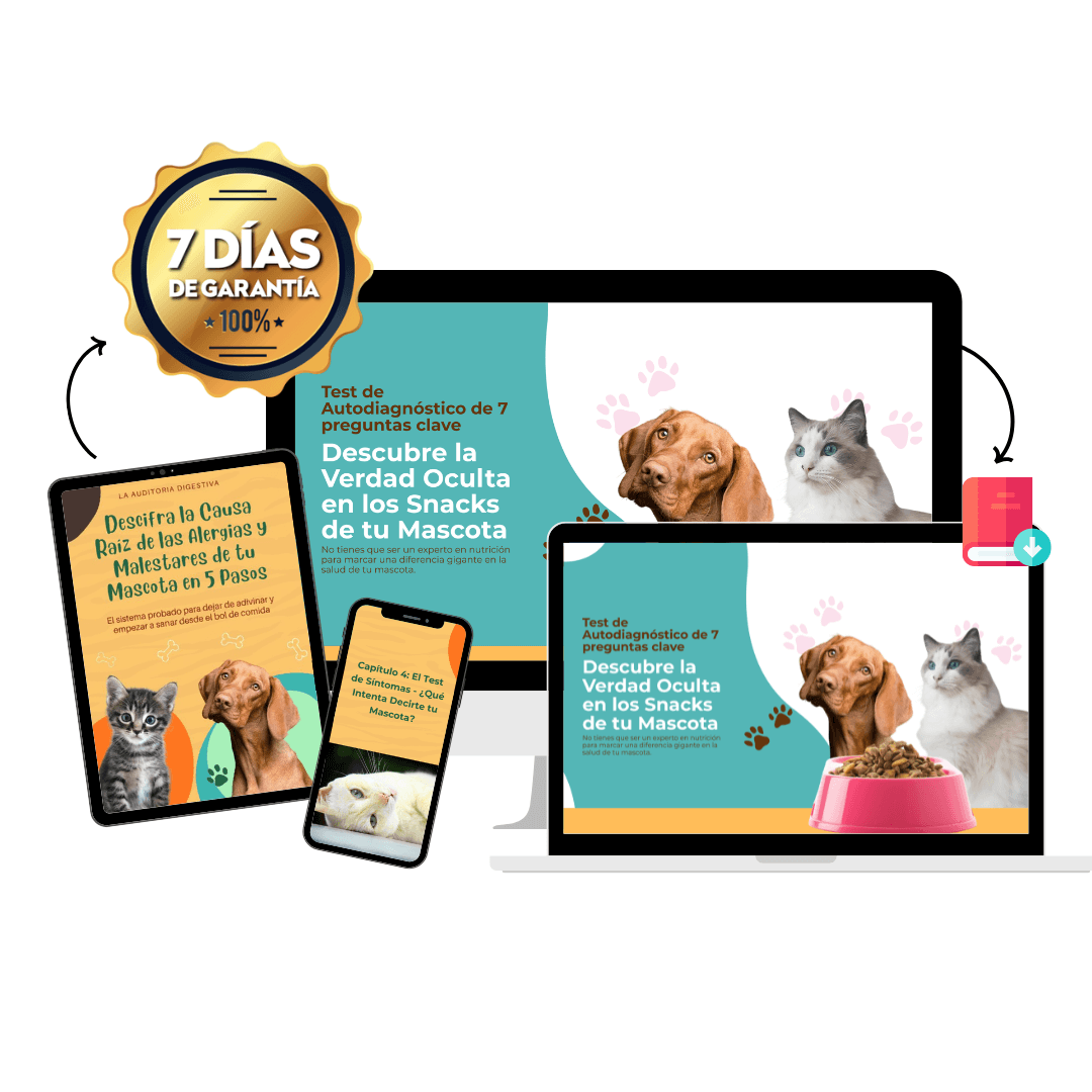 Descubre la Verdad Oculta en los Snacks de tu Mascota