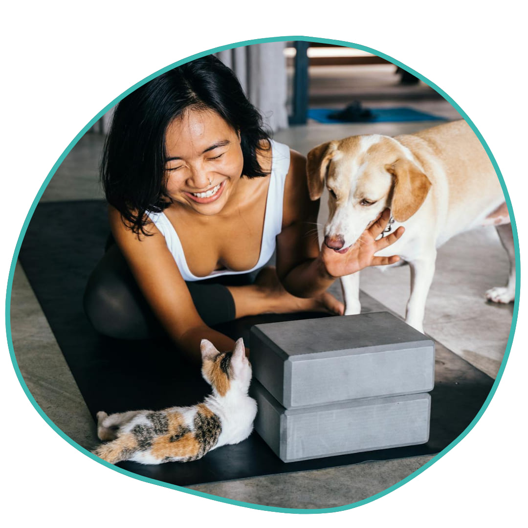 Descubre la Verdad Oculta en los Snacks de tu Mascota